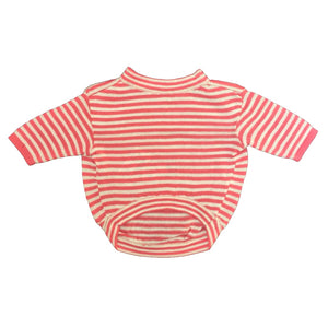CozyPaws: Stylish & Breathable Dog Cotton T-Shirts for Comfort and Coolness - Mojopanda Organic Store