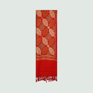 Odhni Embroidered | Stoles & Shawls - Mojopanda Organic Store