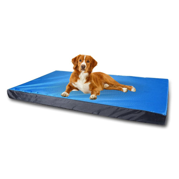 Dog Bed |  Rectangle | With Chew Proof  Fabric | Pet Bedding