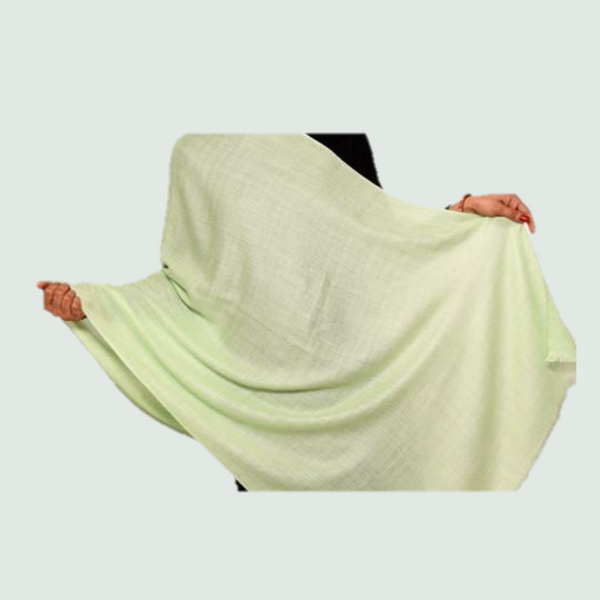 Mint Green Stole/Shawl - Front View