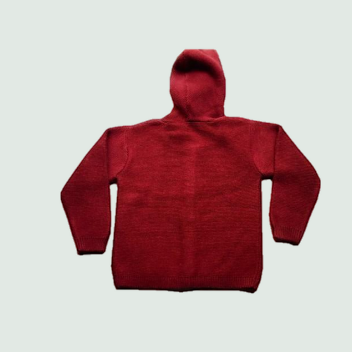 Red Hoody Pullover - Back View