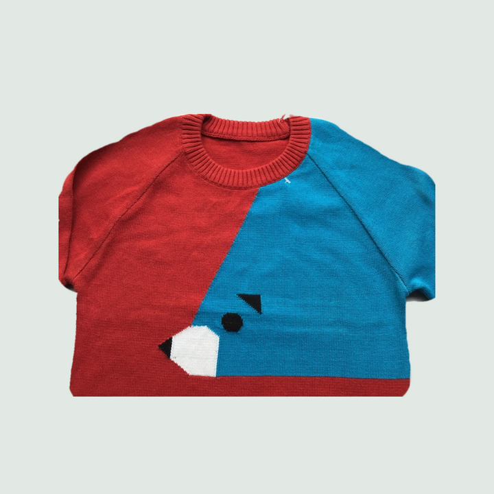 Blue-Red Sweater for baby - Front View