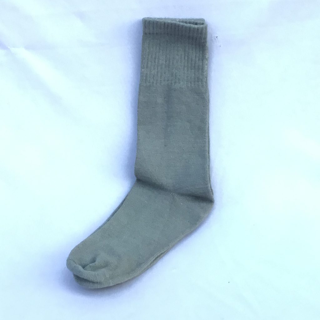 IMG_1550