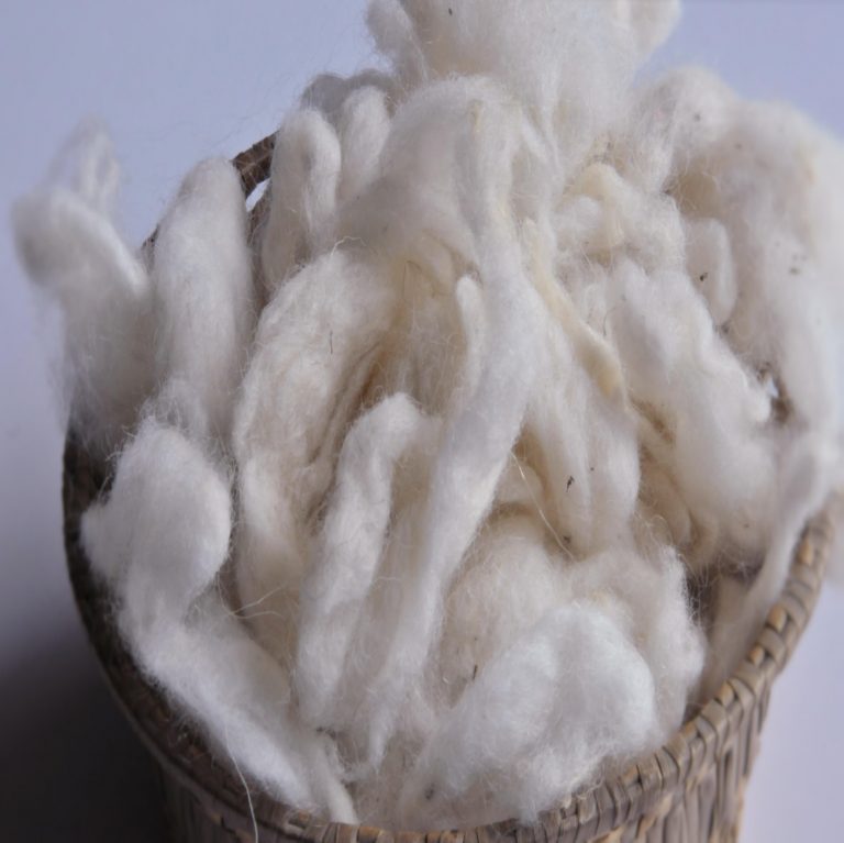 Scoured Wool